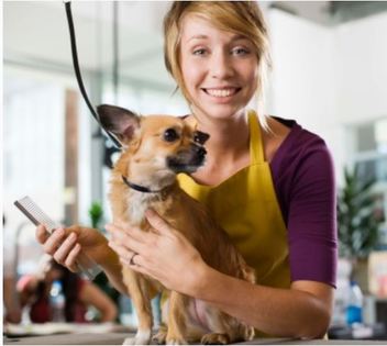 pet-groomer-at-work_1
