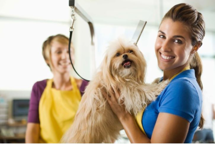 professional-groomer_1_orig